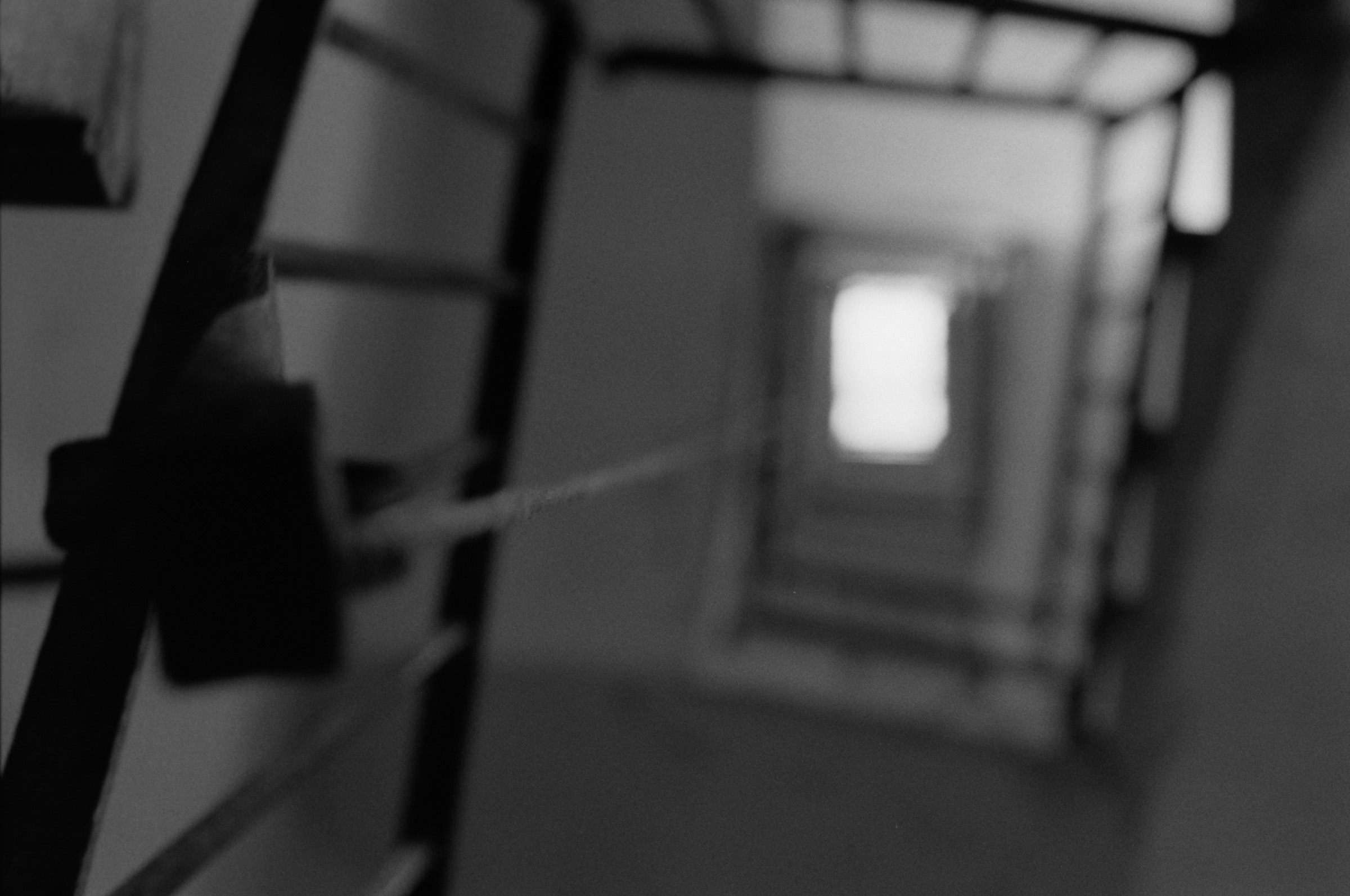 AHP F1995 10 003 sc240815 img28 NLP